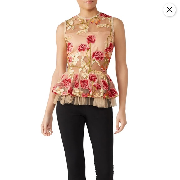 VONE Size 2 Sheer Lelan Top - True to Size (XS/SM) - Picture 2 of 10